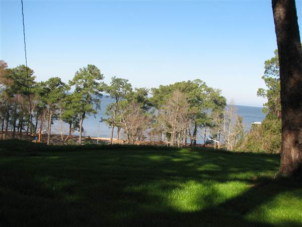 Fairhope Homes Overlooking Mobile Bay Bluff Park