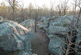 Horse Pens 40
