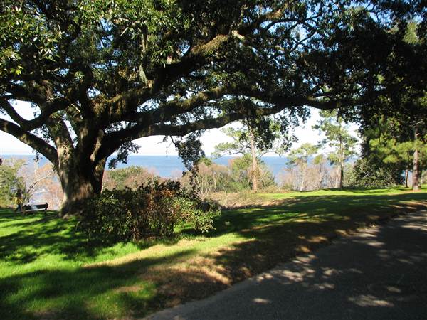 Fairhope Homes Overlooking Mobile Bay Bluff Park