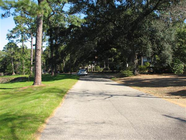 Fairhope Homes Overlooking Mobile Bay Bluff Park
