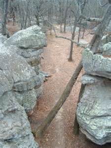 Horse Pens 40
