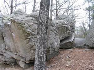 Horse Pens 40