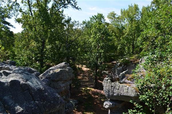 Horse Pens 40