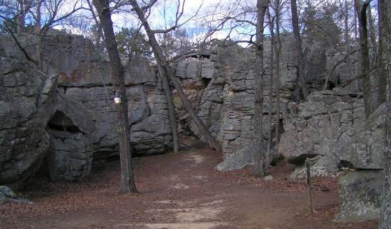 Horse Pens 40