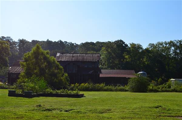 Horse Pens 40