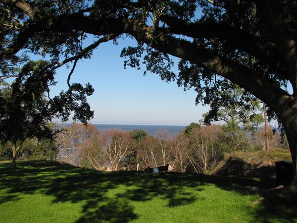Fairhope Homes Overlooking Mobile Bay Bluff Park
