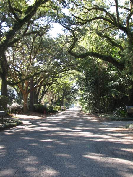 Fairhope Homes Overlooking Mobile Bay Bluff Park