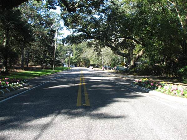 Fairhope Homes Overlooking Mobile Bay Bluff Park