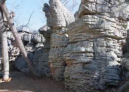 Horse Pens 40