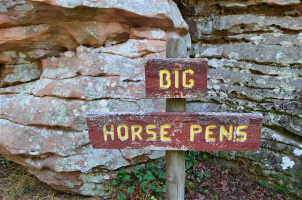 Horse Pens 40