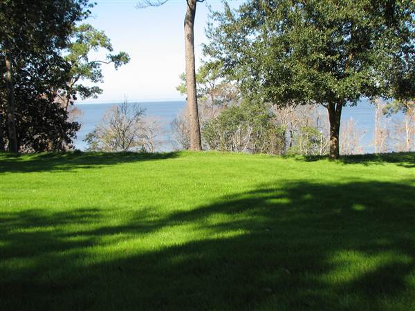 Fairhope Homes Overlooking Mobile Bay Bluff Park