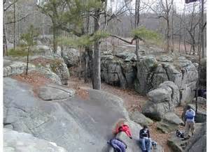Horse Pens 40