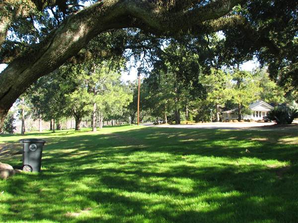 Fairhope Homes Overlooking Mobile Bay Bluff Park