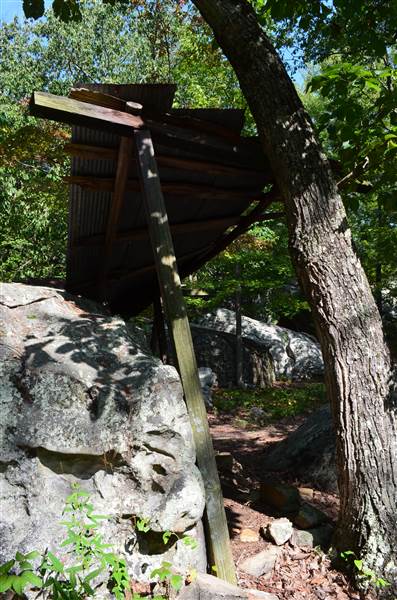 Horse Pens 40