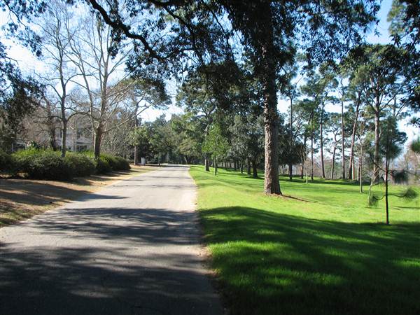 Fairhope Homes Overlooking Mobile Bay Bluff Park