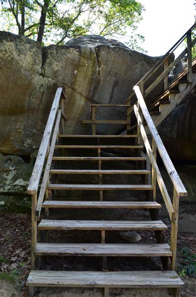 Horse Pens 40